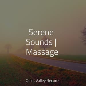 Serene Sounds | Massage - Rain and Nature