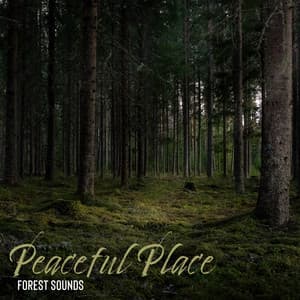 Peaceful Place  - Gentle and Mesmerizing Natural Melodies for Restful Moments - Nature Tribe