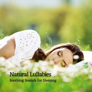 Natural Lullabies: Soothing Sounds for Sleeping - Next Nature