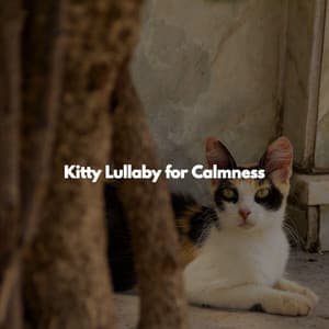 Kitty Lullaby for Calmness - Jazz for Work Lounge