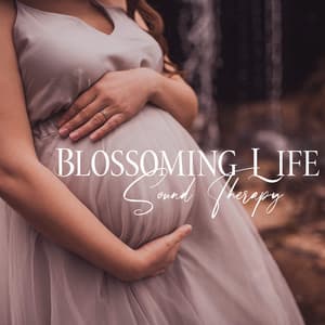 Blossoming Life - Sweet Musical Escape