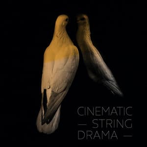 Cinematic String Drama - Adam Saunders