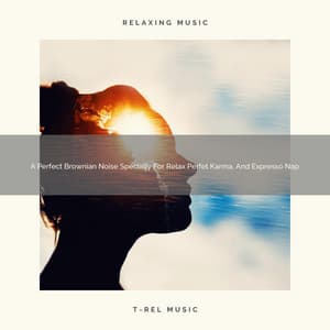 A Perfect Brownian Noise Specially For Relax Perfet Karma, And Expresso Nap - White Noise Healing Center
