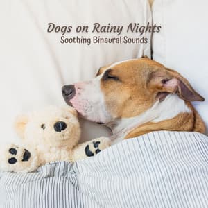 Dogs on Rainy Nights: Soothing Binaural Sounds - Binaural Beats Research