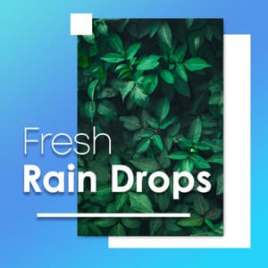 Fresh Rain Drops - Hypnosis Therapy