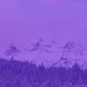 Backdrop for Storytelling - Musica per la Colazione Sala