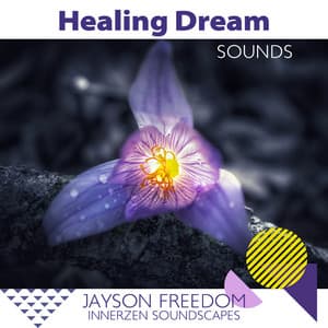 Healing Dream Sounds: Sleep Hypnosis - Jayson Freedom