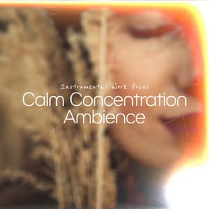 Calm Concentration Ambience - Instrumental Work Focus