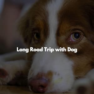 Long Road Trip with Dog - Work Music Background Music