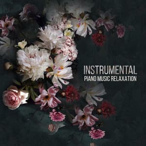 Instrumental Piano Music Relaxation, Massage Piano Music, Relaxing Piano Music, Meditation Piano Music, New Age Piano Music, Background Piano Music - Piano Virtuo