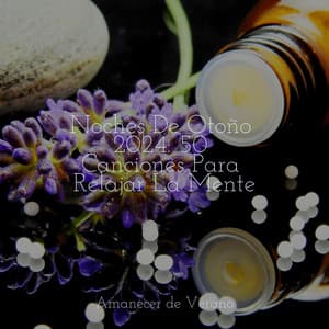 Noches De Otoño 2024: 50 Canciones Para Relajar La Mente - Relajación Piano