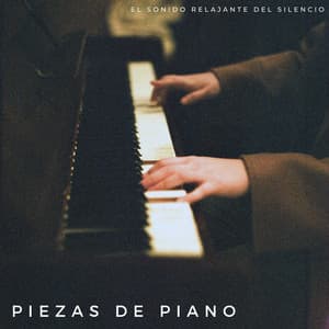 Piezas De Piano: El Sonido Relajante Del Silencio - Pianista Relajante
