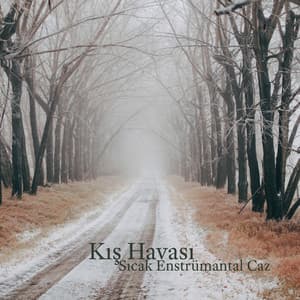 Kış Havası: Sıcak Enstrümantal Caz, Karlı Gün, Uzun Kış Günleri - Enstrümantal Caz Akademi