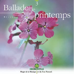 Chlorophylle 3 : Ballade de printemps - Relaxing Zen Nature