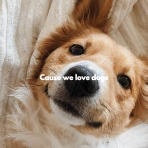 Cause we love dogs - Jazz Rilassante Retro