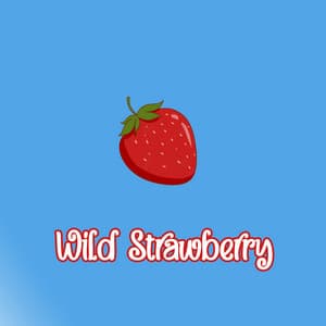 Wild Strawberry - LO-FI BEATS