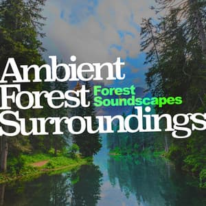 Ambient Forest Surroundings - Forest Soundscapes