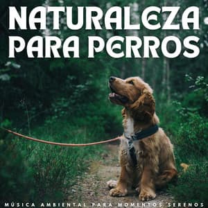 Naturaleza Para Perros: Música Ambiental Para Momentos Serenos - Océano y Mar