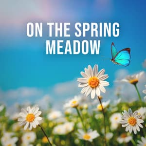On the Spring Meadow: Relax with the Sound of Spring, Natural Soundscape Against the Stressed City Life - Relaxing White Noise Sounds