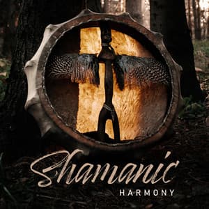 Shamanic Harmony - Dean Evanos