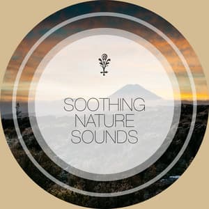 Soothing Nature Sounds - Sons da Natureza