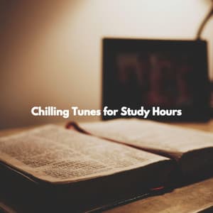 Chilling Tunes for Study Hours - Soft Dinner Music