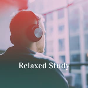 Relaxed Study - Instrumental