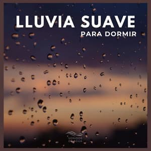 Lluvia Suave Para Dormir - Sonidos De Agua