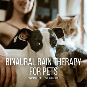 Nature Sounds: Binaural Rain Therapy for Pets - Rain & Thunder