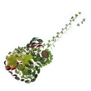 Guitars in Green, Vol. 3 - Peter Michael