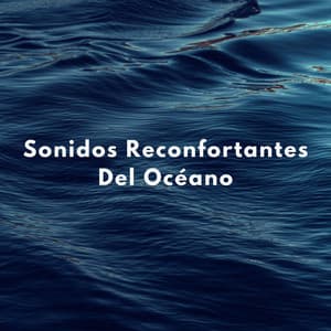 Sonidos Reconfortantes Del Océano - Experiencia definitiva en el océano