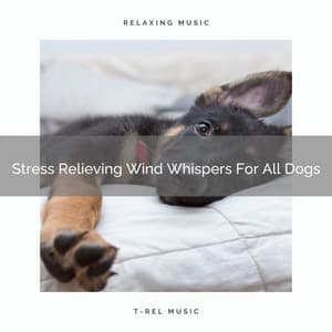 Stress Relieving Wind Whispers For All Dogs - Dog Relax
