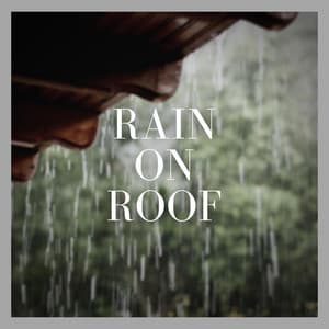 Rain on Roof - Background Noise From TraxLab