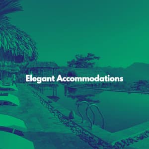 Elegant Accommodations - Hotel Music