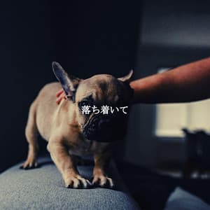 落ち着いて - Chill Out Jazz Dream