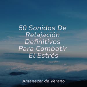 50 Sonidos De Relajación Definitivos Para Combatir El Estrés - Musica para Dormir 101