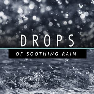 Drops of Soothing Rain - Calming Rain Sounds