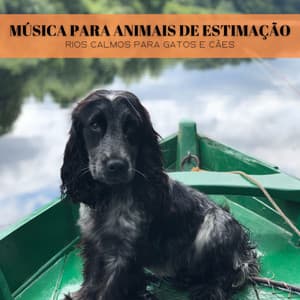 Música Para Animais De Estimação: Rios Calmos Para Gatos E Cães - #Calmante