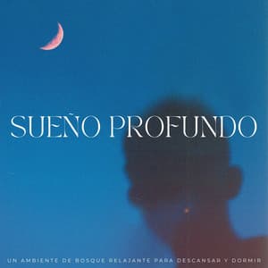 Sueño Profundo: Un Ambiente De Bosque Relajante Para Descansar Y Dormir - Laboratorio de la Naturaleza