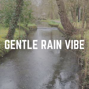 Gentle Rain Vibe - Rain for Deep Sleep