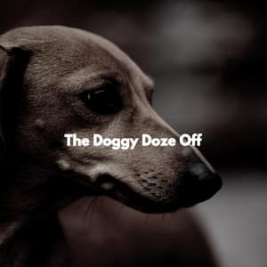 The Doggy Doze Off - Desayuno Jazz Radio