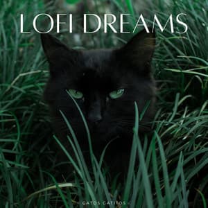 Lofi Dreams: Gatos Gatitos - Somnoly Lofi Beats