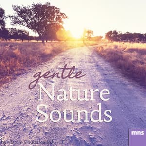 Gentle Nature Sounds - Nature Soundscapes