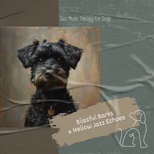 Blissful Barks & Mellow Jazz Echoes - Jazz Music Therapy for Dogs
