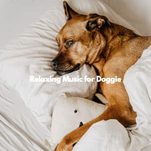 Relaxing Music for Doggie - Office Work Music