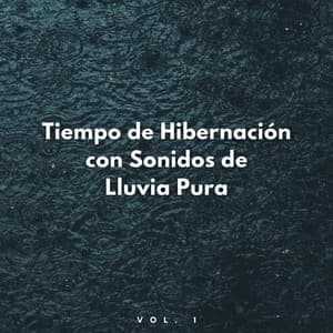 Tiempo De Hibernación Con Sonidos De Lluvia Pura Vol. 1 - Lluvia tranquila para dormir