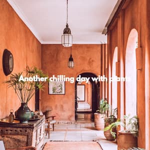 Another chilling day with plants - Miami Hotel Jazz