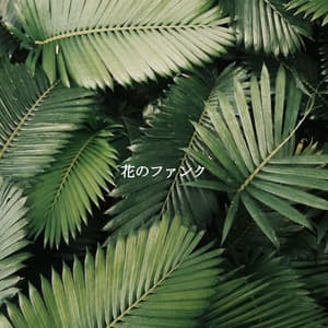 花のファンク - Office Background Music