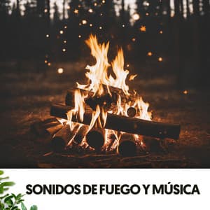 Sonidos de Fuego y Música: Llamas de paz - Relajacion