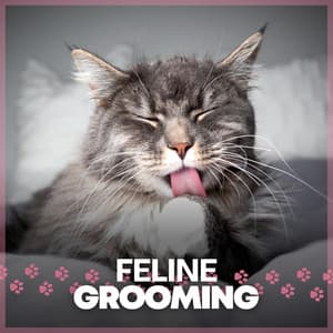 Feline Grooming - Music for Cats Peace